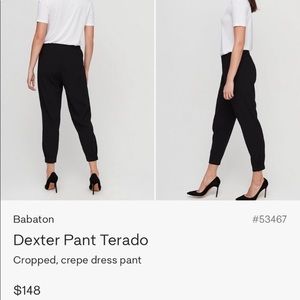 Aritizia Babaton pants